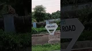 Ring Road ..🤔😂😂 #ringroad