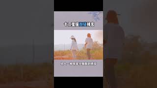 十二星座颜值排名