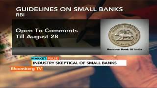 Market Pulse: Small Banks Viable?