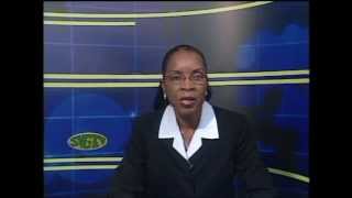 Airport Destroying SVG: Hon. Arnhim Eustace