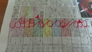 Takarazuka Kinen - Horse Racing Digest -