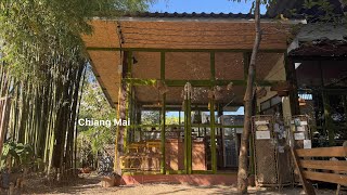 Chiang Mai 🇹🇭 Thailand travel vlog