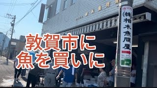 敦賀市に魚を買いに#相木魚問屋