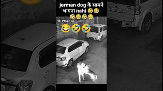 brake plz 😂🤣🤣#funnydog #dog #doggielife #dogs #dogshorts #doglife #dogvideos #dogtraining #shorts