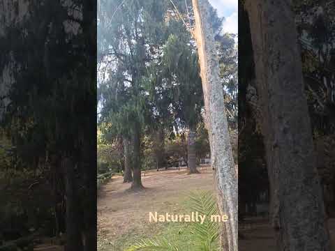 naturally senhorita S the OG #naturallybeautiful #senhoritasanguita #zimbassador