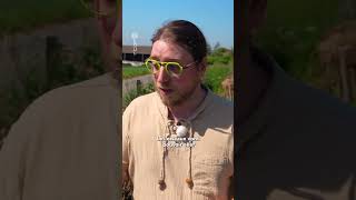 Frabriquer une haie de bois morts #rtbf #jardinsetloisirs #shorts