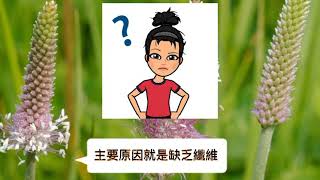 #便秘的痛苦#纖維 #洋車前子