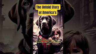 The Untold Story of America’s Bravest Military Dog #trueanimalstories #epicrescue