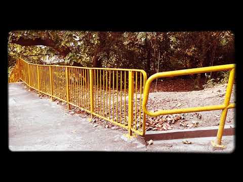 行山巧遇兩隻大野豬