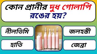 কোন প্রানীর দুধ গোলাপি রঙের হয়//Gk Quiz Bangla//Quiz Bangla//Bangla Quiz//Gk Questions And Answers
