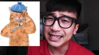 【小全TV】貓咪上吐下瀉怎麼辦？腸胃炎？