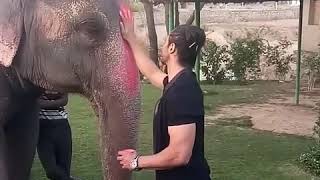 vidyut jamwal celebrating holi in junglee style #junglee