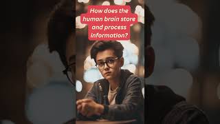 #shorts#How does the human brain store the information#shorts#