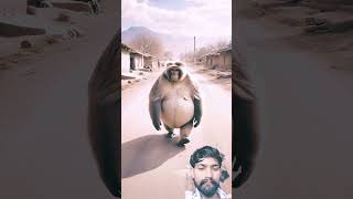 बंदर 😱 #facts #animals #monkey #funny #amazingfacts #animalstories #youtubeshorts #cartton