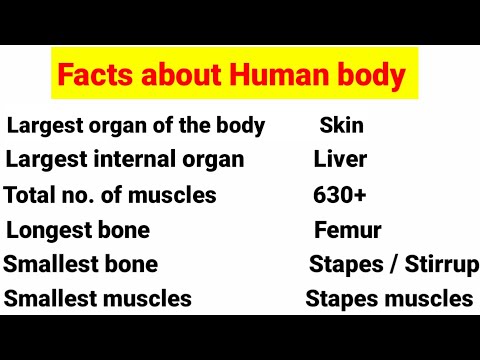 Facts about Human body || Normal perimeter of healthy human body.   💯 % Important.