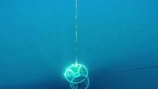 CTD returns to the surface