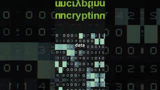 One Tool That Can Stop MITM 🔐 | VPN = Digital Shield