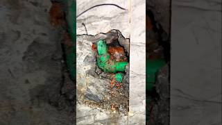 The best method for detecting water leaks in your home 🏡 #construction #tips #shorts #usa #mexico