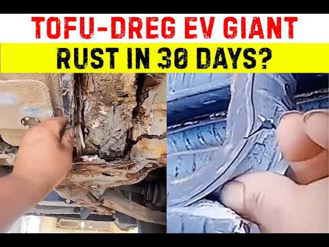 BYD Is A JOKE! 'Tofu-Dreg' Cars Rust in a Month, Brakes Fail, Owners Smash Them in Fury!