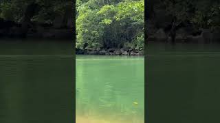 Kweba #youtube #travel  #youtuber #youtubeshort