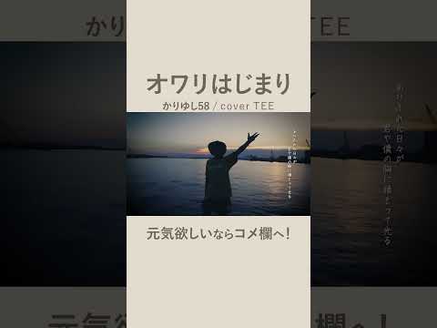 【命を燃やしてるかい】かりゆし58-オワリはじまり-TEE #cover #歌ってみた #coversong #懐メロ