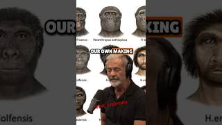 Mel Gibson's Shocking Take on Evolution & Creation | Joe Rogan Experience