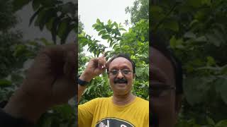 मुक्तिकोपनिषद 🔴 अधीत्य चतुरो वेदान्सर्वशास्त्राण्यनेकशः ✅। ब्रह्मतत्त्वं न जानाति दर्वी पाक रसं यथा🚩