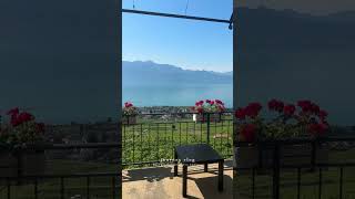 #shorts #travel #switzerland #瑞士 #旅行 #欧洲 #瑞士旅遊