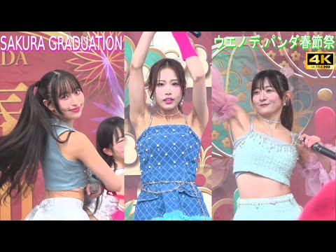 4K【SAKURA GRADUATION】ウエノデパンダ春節祭