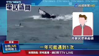 互相對話？ 潛客聽到「大翅鯨.偽虎鯨發出低頻」