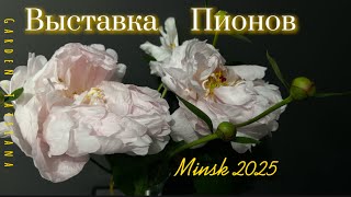 Выставка Пионов в Минске с 6-15 июня 2025 г. Первый зал. 1часть