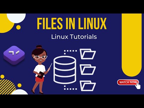 Linux Files Explained: Understanding Types and Methods of Creation