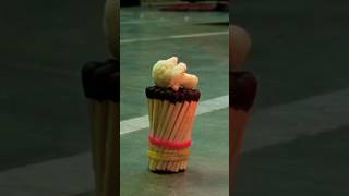 Machis ke sath experiment video #shots #expriment #machish #trendingshorts #likeandsubscribe