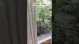 Inside a 5-Star Hidden Gem in Sakleshpur 🌿 | #trending #youtube #subscribe #views #westernghats