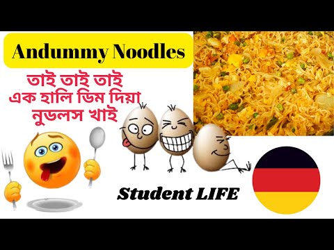 Andummy Noodles Recipe | ডিমময় জীবন | পর্ব ২ | Life in Germany | Student Life