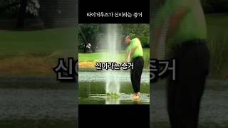 타이거우즈가 '신'이라는 증거 (구독하시면 재미있는 골프영상을 받아보실 수 있습니다.) #타이거우즈 #shorts #골프팁