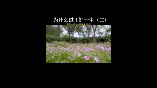 为什么过不好一生（二） #修心 #修行 #修行之路 #修心养性禅悟人生 #修心修性