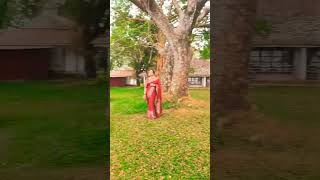 Pathan movie ka vairal song #pathansong #photography #shorts