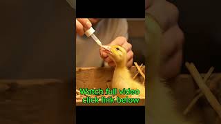 Full video link below