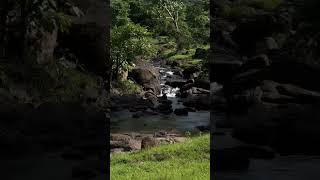 #NatureRiver #RiverVibes #NatureLovers #RiverFlow #ScenicRiver #WildNature #EarthBeauty