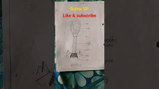 life science art #artwork