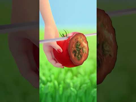 Satisfying Apple Cutting ASMR | Crisp & Juicy Sounds  #satisfying #3danimation #blender #games #game