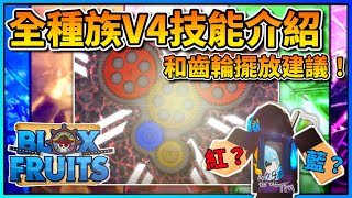【Roblox】Blox Fruits全種族的「種族覺醒技能💪」介紹和「齒輪擺放建議💡」❗| 欸是Tin | 全字幕 | Roblox機器磚塊