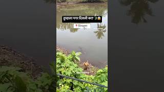 Crocodile in chiplun😱 #crocodile #viralvideo