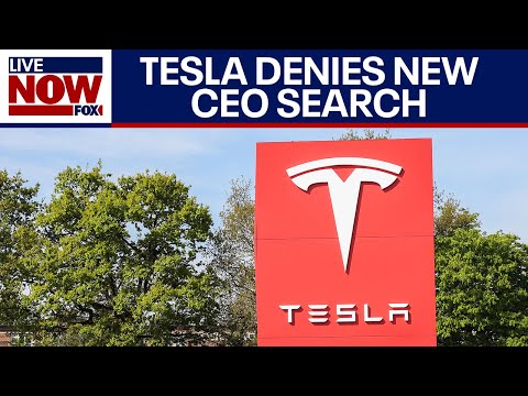Tesla chair denies report that board is searching for new CEO to replace Elon Musk