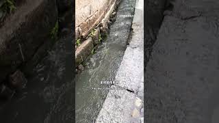 暴雨中的徽派千年古村落，巍然不动。#旅行推荐官#徽派建筑＃徽派建筑设计#中华五千年文化＃老祖宗的智慧
