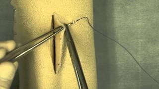 Near-Far-Far-Near Suture Pattern
