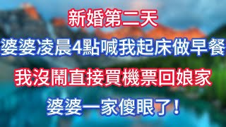 新婚第二天，婆婆凌晨4點喊我起床做早餐，我沒鬧直接買機票回娘家，婆婆一家傻眼了！ #情感故事 #老人频道 #老年健康 #為人處世 #老年生活