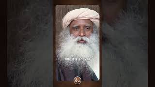 这就是为什么你会有压力 #shorts #生活 #stressrelief #sadhguru #stressfree