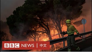 歐洲遭遇熱浪襲擊 多國山火肆虐－ BBC News 中文